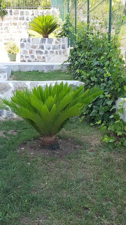 Villa Soleada Herceg Novi Zewnętrze zdjęcie
